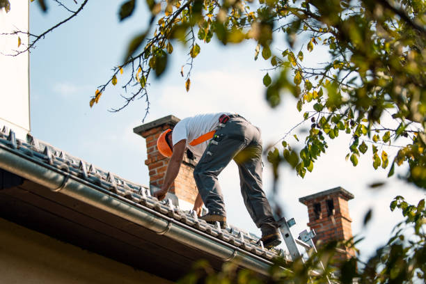 Best Roof Maintenance Services  in Hooper, UT